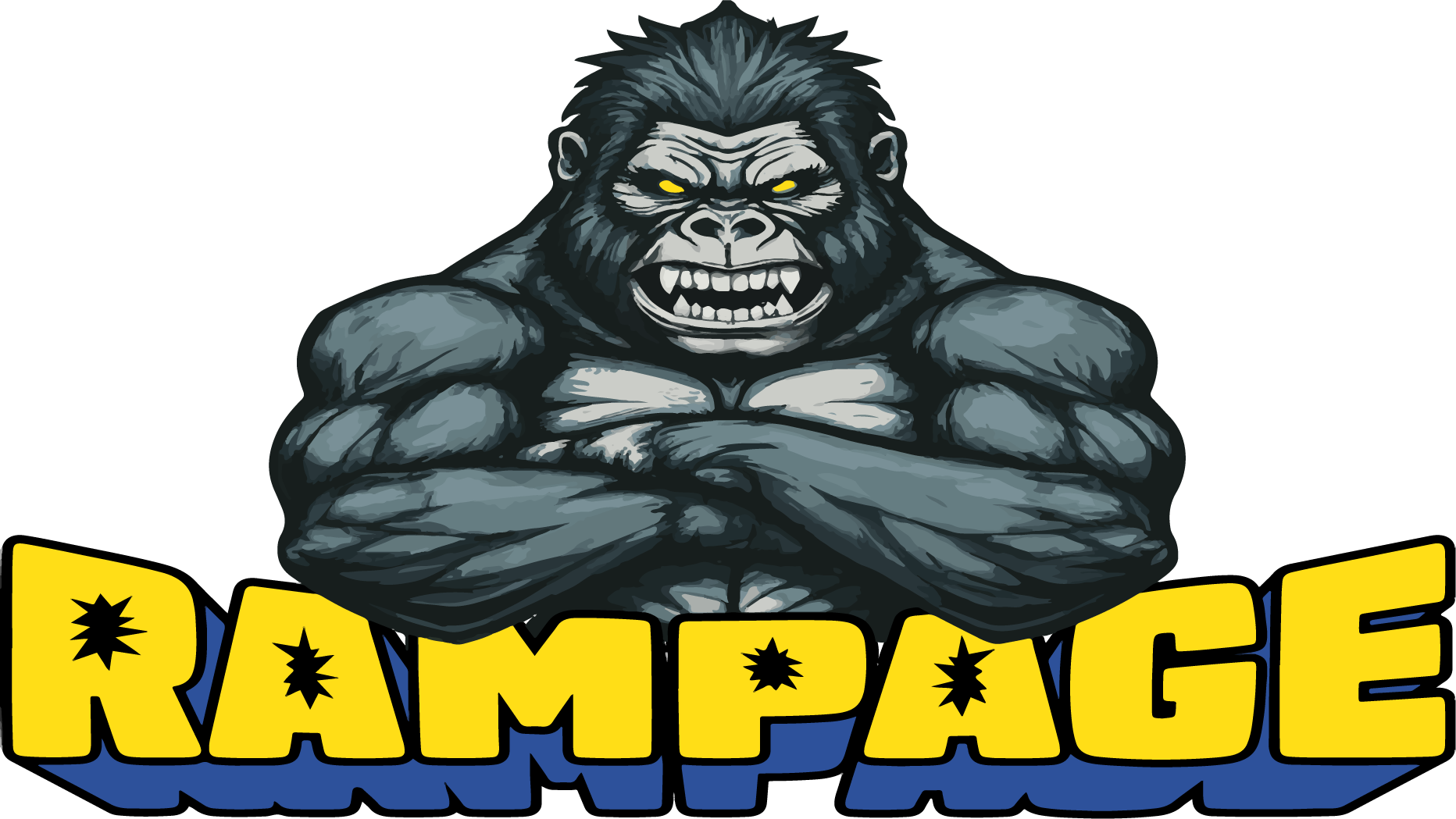 RAMPAGE HOSES | HIGH PRESSURE and SOFTWASH HOSES – MPWSR