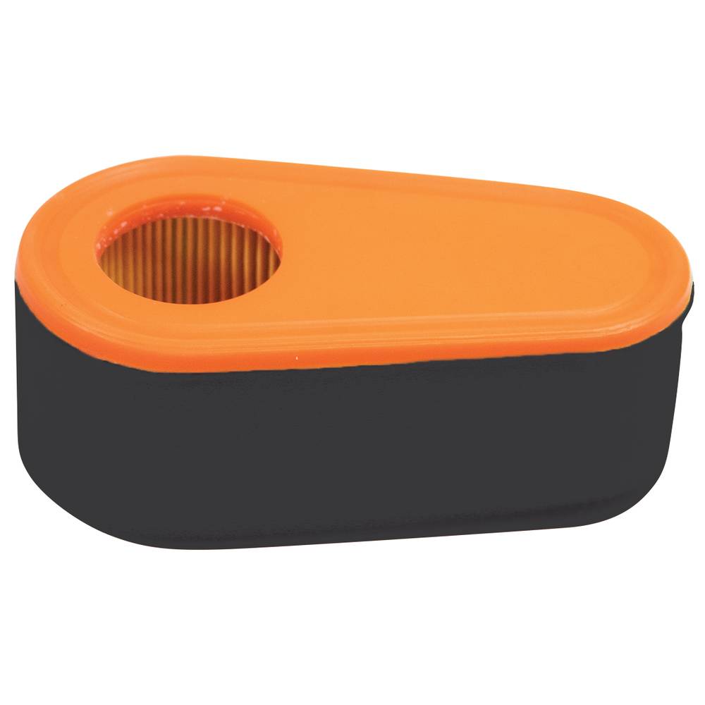 Air Filter Briggs