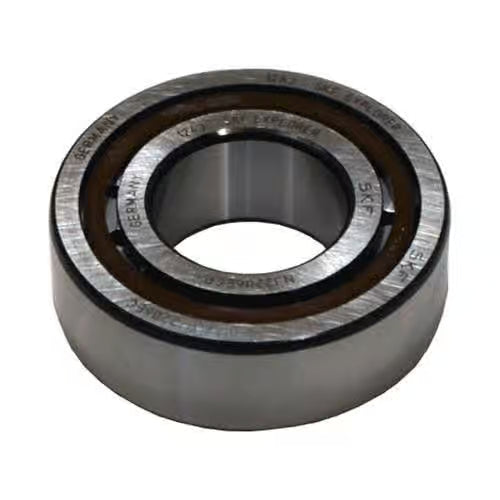 General Pump Cylinder Roller Bearing 66 Series TSF Pumps