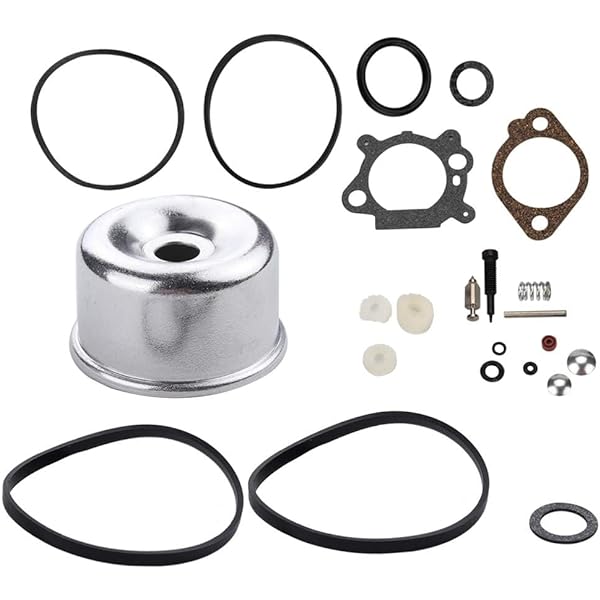 B&S carb rebuild kit