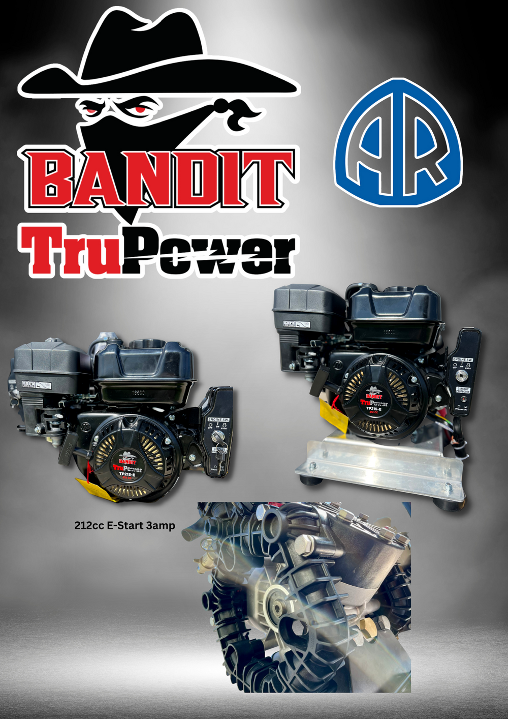 AR45 Softwash System with Electric Start Bandit TruPower Engine