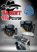 AR45 Softwash System with Electric Start Bandit TruPower Engine