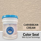 ICT Color Seal H₂Cool - Color Acrylic Sealer for Concrete