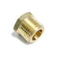 Brass Hex Plug 1/2 Inch *20 28204