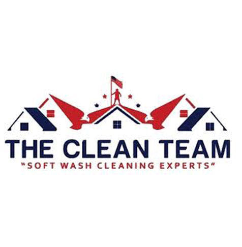 The Clean Team Logo