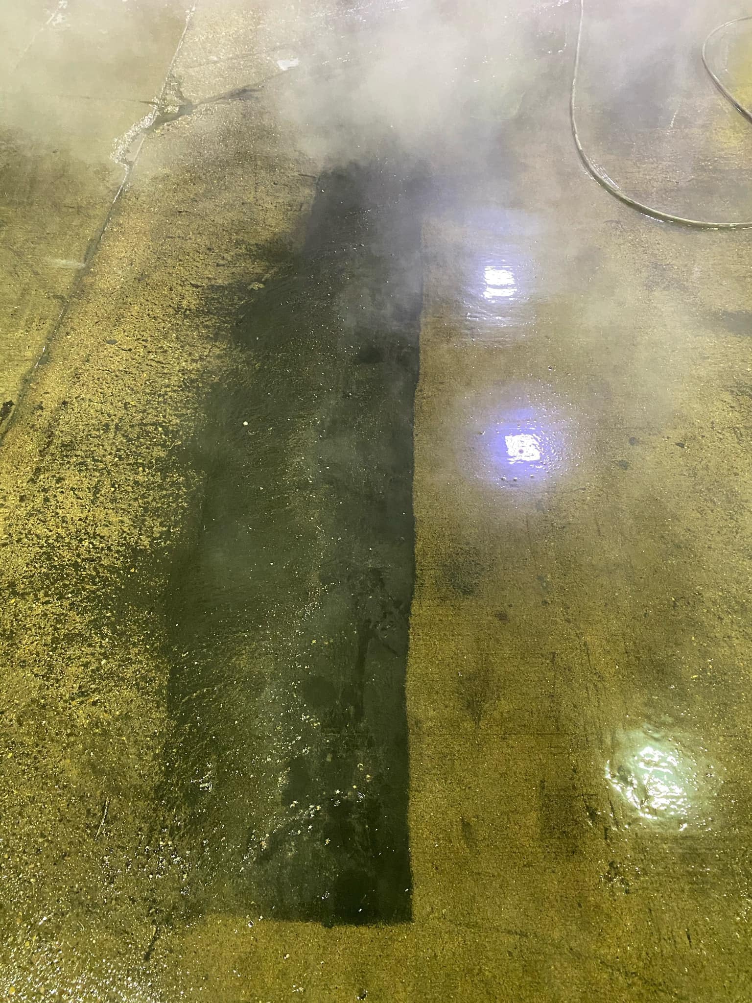 Gold Assassin 5 Gallon