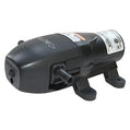 Flojet 1GPM 12v Pump LFP152421D by Xylem