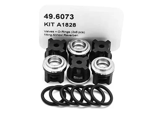 AR Kit 1828 check valves