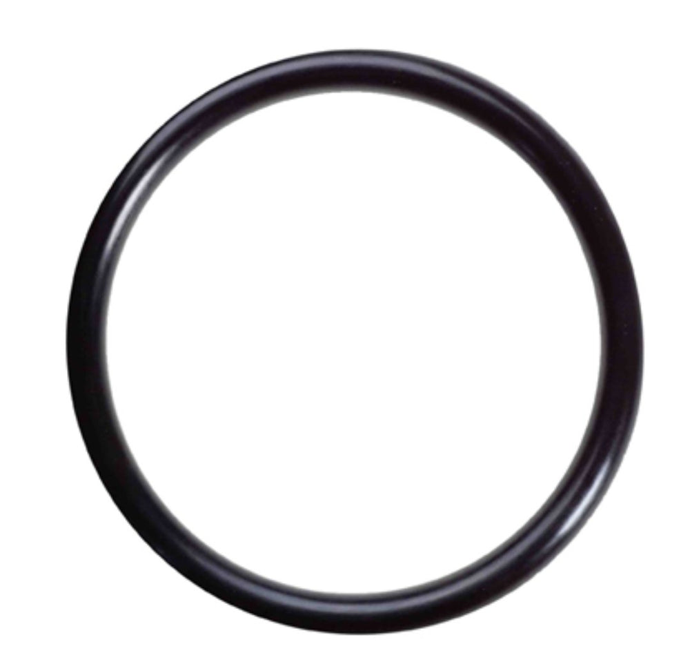 Comet P40 Vam Plug O-Ring 3.53x34.52 1210.0506 #60