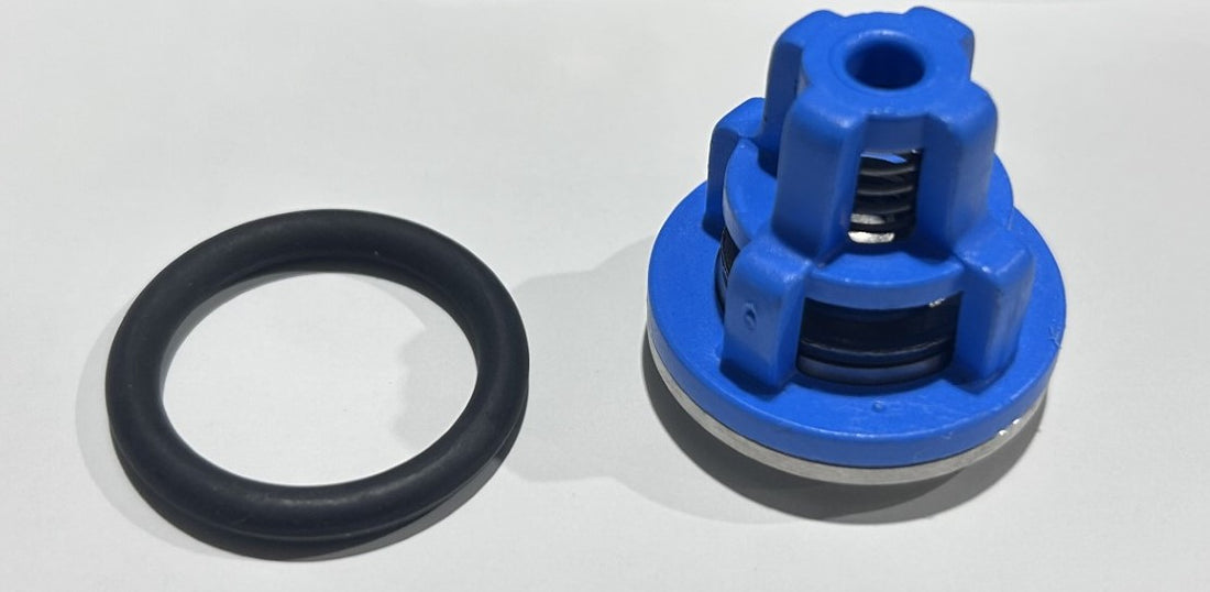 Check Valve and O-Ring for Comet P40 1220.0105 #103